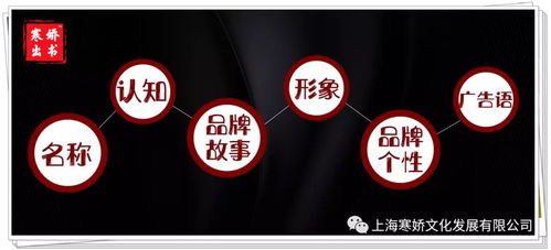 寒娇 一株雪莲的故事，如何绽放品牌力量